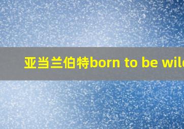 亚当兰伯特born to be wild